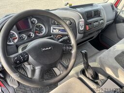 DAF LF 220 10To. 3.S. Kipper/Kran Fassi F65,