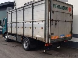 MERCEDES-BENZ Atego 1223L Euro3 Scheuwimmer Viehaufbau