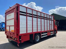 DAF CF 75 Livestock veewagen 1/2 stock