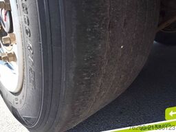 SCHWARZMÜLLER Palettenkasten Liftachse Hubdach SAF Achsen TÜV