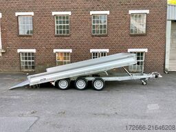 Variant 3543 UX | TRIDEM 420X210X30CM 3500KG UNIVERSALTRANSPORTER