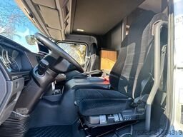 MERCEDES-BENZ Pferdetransporter