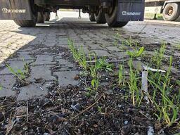 KRONE Gardine Standard Coiler, Lift, BPE Trommel