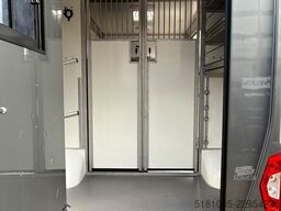 Renault Master Automaat Paardenwagen hengsten uitvoerin...