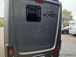 STX Groomsuite Occasion 750kg