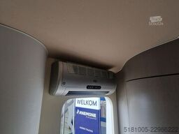 STX Groomsuite Occasion 750kg