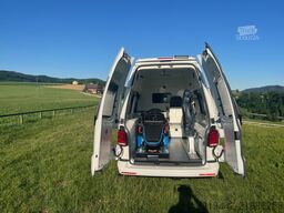 VW T6.1