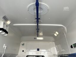 VW T6.1