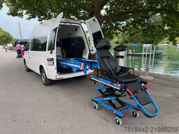 VW T6.1