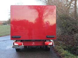 MERCEDES-BENZ Sprinter 310 Euro 6 Cold Car -33°C ATP 09/29