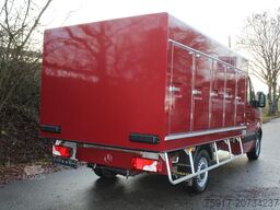 MERCEDES-BENZ Sprinter 310  Euro 6 Cold Car -33°C ATP 09/29