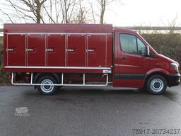 MERCEDES-BENZ Sprinter 310 Euro 6 Cold Car -33°C ATP 09/29