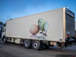 VOLVO FM340+POUSSIN/CHICKEN/KUIKEN/KÛKEN