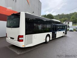 MAN Lions City A 20, Klima , Gurte ,  Überland