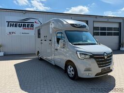 RENAULT Master STX 3 Sitzer  Haras / Hengste