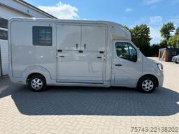 RENAULT Master STX 3 Sitzer  Haras / Hengste