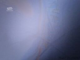 WEINSBERG CaraSuite 650  MF FORD - Hubbett - UVP: 89.352¤