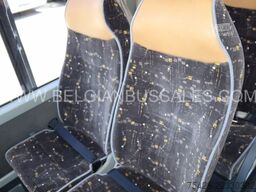 Temsa LD 13 C / Tourmalin