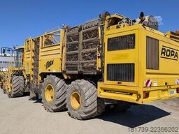 Ropa TIGER V8-3 beet harvester / 6000 MTH