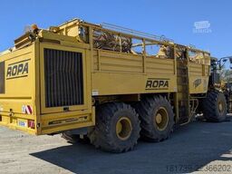 Ropa TIGER V8-3 beet harvester / 6000 MTH