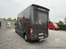 Opel Movano | HORSETRUCK | ROELOFSEN | STALLION 3XL ...