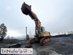 LIEBHERR R 974 B Litronic  HD | Klappschaufel |