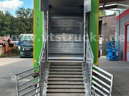 MAN TGX 26.440 6x2 3.Stock Cuppers Komplett-Zug