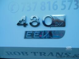 RENAULT MAGNUM 480 DXi, STANDART, EURO 5 EEV