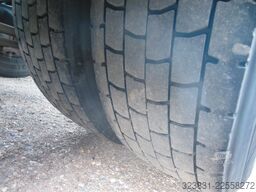 RENAULT MAGNUM 480 DXi, STANDART, EURO 5 EEV