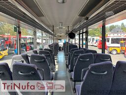 SETRA S 319 UL | Klima | Schaltgtr. | 354 PS |