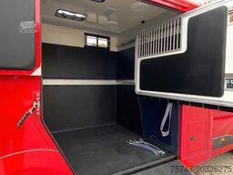 RENAULT MASTER AKX NEW MODELL 2025 5 Sitzer Haras ex. L