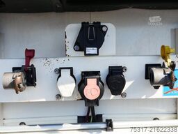 SCHMITZ CARGOBULL SKO 24/TK SLXi300/DOPPELSTOCK /BLUMEN / BPW