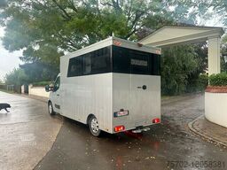 Renault Master 1-2 Pferde Automatik Hengsttrennung