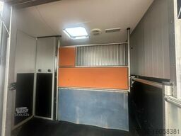 Renault Master 1-2 Pferde Automatik Hengsttrennung