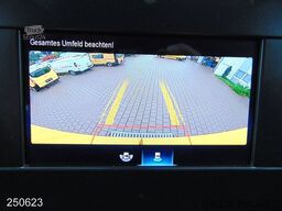 MERCEDES-BENZ Sprinter 314 CDI KLIMA-KAMERA-REGALSYSTEM