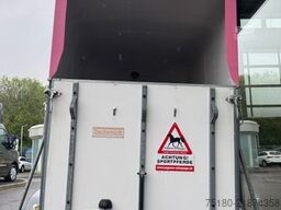SCHMIDT Isländer 2 Pferdehänger Ponyanhänger  Holz/Poly