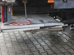 DAF LF 250 FA, EURO 6, TAIL LIFT