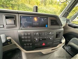 MAN TGS 26.510 6x4 SWAN TSP 38-5 160RZ ( 38m )