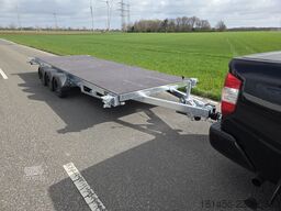 Vlemmix 20ftContainer Transport Twistlock 3500kg