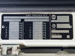 DAF XF 440 SSC SPECIAL TRUCK SUPER CONDITION NL TRUC