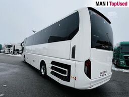 MAN Top* Lions Coach R07-8697