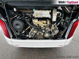 MAN Top* Lions Coach R07-8697