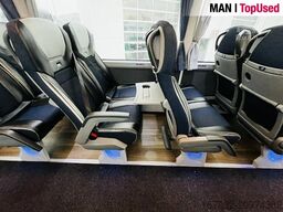 MAN Top* Lions Coach R07-8697