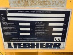 LIEBHERR L556 X-Power