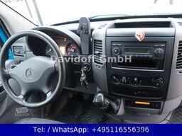 MERCEDES-BENZ Sprinter Koffer 313CDI 1.Hand / Trennwand/FN:215
