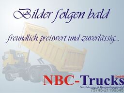 MAN TGS 33.520*TAJFUN HOLZLADEKRAN-FUNK*STAHLSCHEMEL