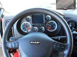 DAF TE 105.460 XF Sattelzugmaschine - WENIG KM - Spacecap