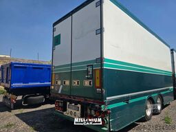 Iveco BIGA FRIGO ROLFO ATP 2029