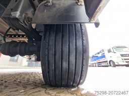 FLIEGL SZS320 / Hubdach / EDSCHA / Mega