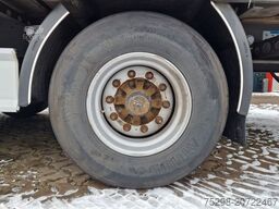 FLIEGL SZS320 / Hubdach / EDSCHA / Mega